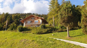 Chalet La Louise avec vue imprenable